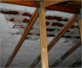 Ice build up in poorly vented attic